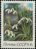 Colnect-5064-618-Snowdrops-Galanthus-nivalis.jpg