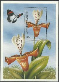 Colnect-1761-284-Paphiopedilum-gratrixianum.jpg