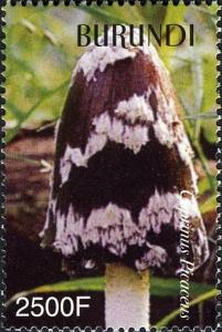 Colnect-1592-991-Coprinus-picaceus.jpg