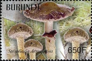 Colnect-1592-994-Stropharia-aeruginosa.jpg