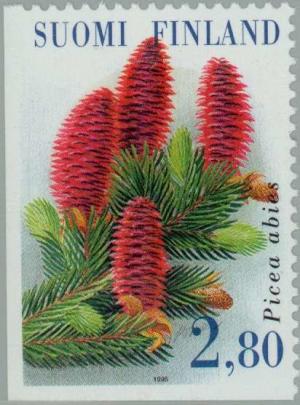 Colnect-160-314-Norway-European-Spruce-Picea-abies.jpg