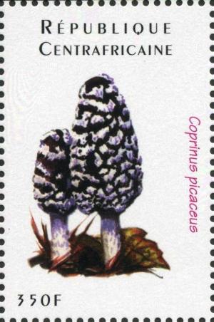 Colnect-3012-787-Coprinus-picaceus.jpg