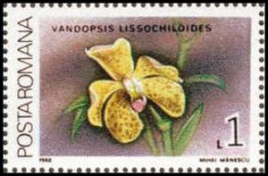 Colnect-3197-905-Vandopsis-lissochiloides.jpg