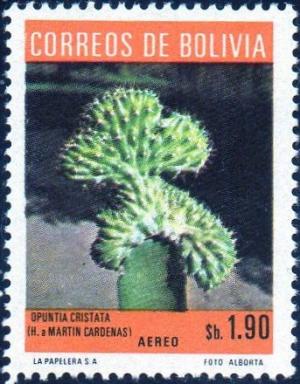 Colnect-3466-103-Opuntia-Cristata.jpg