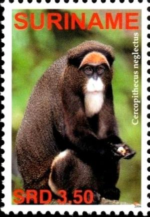 Colnect-3981-664-Cercopithecus-neglectus.jpg