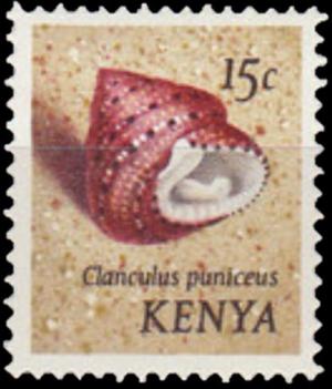 Colnect-4500-610-Strawberry-Top-Shell-Clanculus-puniceus.jpg