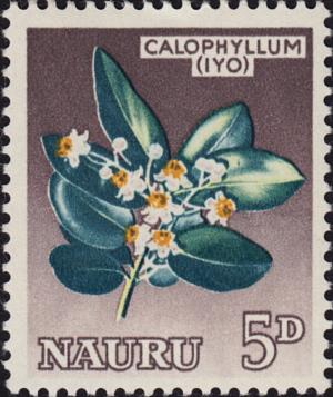 Colnect-5865-901-Calophyllum-inophyllum.jpg