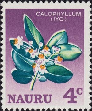 Colnect-5866-237-Calophyllum-inophyllum.jpg