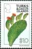 Colnect-4187-553-Opuntia-bahamana.jpg