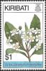 Colnect-3083-851-Calophyllum-inophyllum.jpg