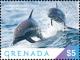 Colnect-5727-084-Pantropic-Spotted-Dolphin.jpg