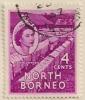 ARC-nborneo14.jpg-crop-157x184at288-246.jpg