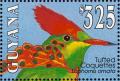 Colnect-1664-201-Tufted-Coquette-Lophornis-ornata.jpg