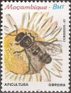 Colnect-1117-475-Worker-Bee-Apis-sp.jpg