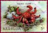 Colnect-1302-402-Common-Shore-Crab-Carcinus-maenas.jpg