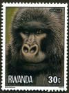 Colnect-1489-757-Gorilla-Gorilla-beringei-beringei.jpg