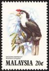 Colnect-1525-359-Wrinkled-Hornbill-Aceros-corrugatus.jpg