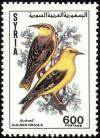 Colnect-1650-757-Golden-Oriole-Oriolus-oriolus.jpg