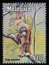 Colnect-1792-663-Bornean-Orangutan-Pongo-pygmaeus.jpg