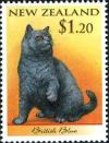 Colnect-2123-295-British-Blue-Shorthair-Felis-silvestris-catus.jpg