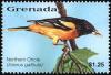 Colnect-4631-051-Baltimore-Oriole----Icterus-galbula.jpg