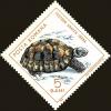 Colnect-5043-376-Greek-Tortoise-Testudo-graeca.jpg