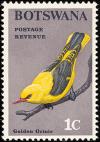 Colnect-597-705-Golden-Oriole-Oriolus-oriolus.jpg