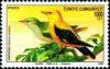 Colnect-756-573-Golden-Oriole-Oriolus-oriolus.jpg