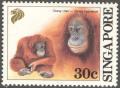 Colnect-2025-369-Bornean-Orangutan-Pongo-pygmaeus.jpg