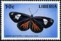 Colnect-2501-437-The-Doris-Heliconius-doris.jpg