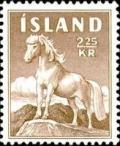 Colnect-422-178-Icelandic-horse-Equus-ferus-caballus.jpg