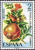 Colnect-438-179-Flora-Pomegranates.jpg