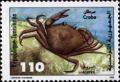 Colnect-558-713-Common-Littoral-Crab-Carcinus-maenas.jpg