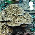 Colnect-5756-120-Porites-evermanni.jpg