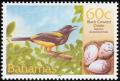 Colnect-577-586-Hispaniolan-Oriole-Icterus-dominicensis.jpg