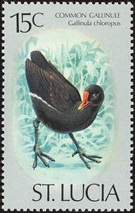 Colnect-1506-968-Common-Moorhen-Gallinula-chloropus.jpg