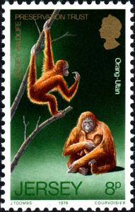 Colnect-5980-903-Bornean-Orangutan-Pongo-pygmaeus.jpg