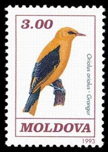 Colnect-348-281-Golden-Oriole-Oriolus-oriolus.jpg