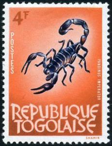 Colnect-1649-977-Emperor-Scorpion-Pandinus-imperator.jpg