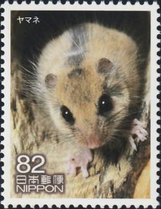 Colnect-6185-387-Japanese-Dormouse-Glirulus-japonicus.jpg