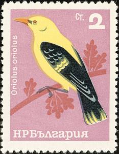 Colnect-621-467-Golden-Oriole-Oriolus-oriolus.jpg