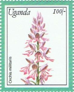 Colnect-5550-517-Orchis-militaris.jpg