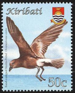 Colnect-2194-542-Band-rumped-Storm-Petrel-Oceanodroma-castro.jpg