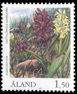 Aland_post_1989_Elder-flowered-Orchid-Dactylorhiza-sambucina.jpg