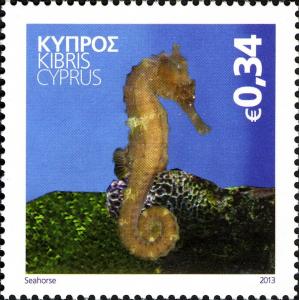 Colnect-1832-884-Seahorse-Hippocampus-sp-.jpg