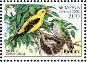 Colnect-1058-239-Golden-Oriole-Oriolus-oriolus.jpg