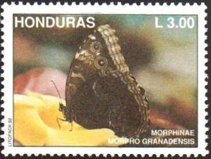 Colnect-1552-231-Granada-Morpho-Morpho-granadensis.jpg