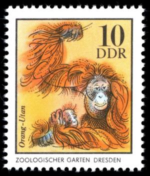 Colnect-1979-676-Bornean-Orangutan-Pongo-pygmaeus.jpg