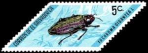 Colnect-2266-826-Metallic-Wood-Boring-Beetle-Euchroma-gigantea.jpg