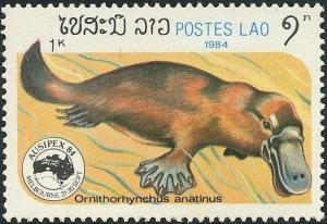 Colnect-2638-686-Platypus-Ornithorhynchus-anatinus.jpg